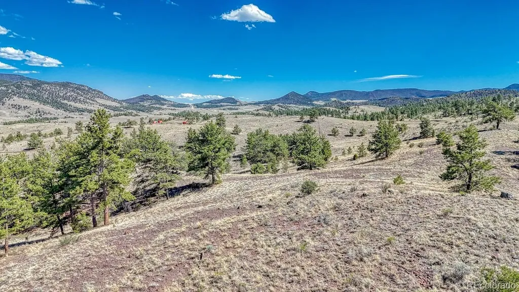 Lot 11 Highway 9 Hartsel CO 80449