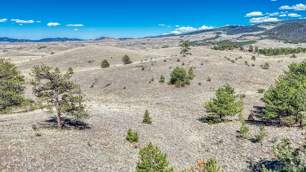 Lot 11 Highway 9 Hartsel CO 80449