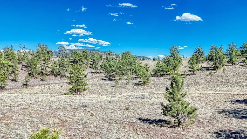 Lot 11 Highway 9 Hartsel CO 80449