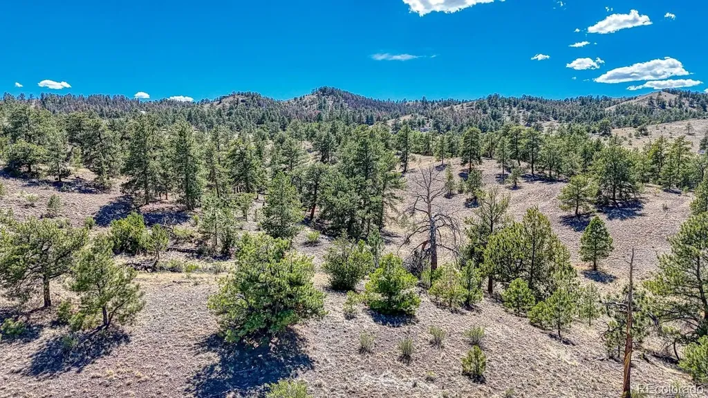 Lot 11 Highway 9 Hartsel CO 80449