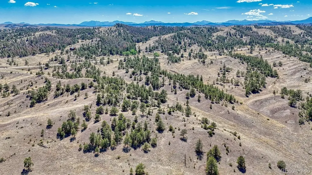 Lot 11 Highway 9 Hartsel CO 80449