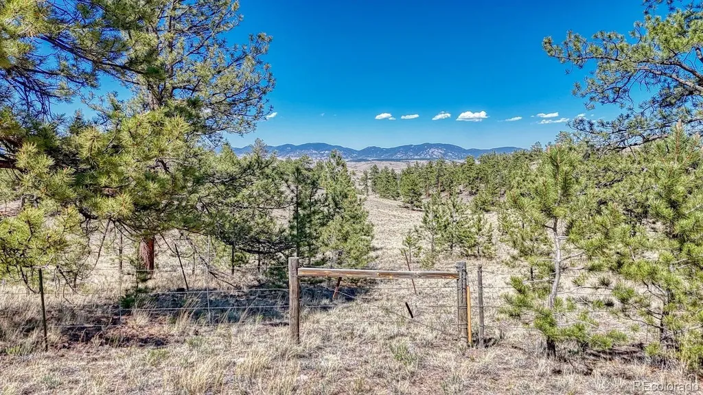 Lot 11 Highway 9 Hartsel CO 80449