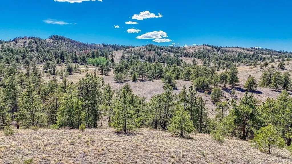 Lot 11 Highway 9 Hartsel CO 80449
