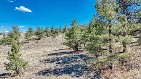 Lot 11 Highway 9 Hartsel CO 80449