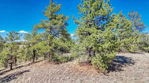Lot 11 Highway 9 Hartsel CO 80449