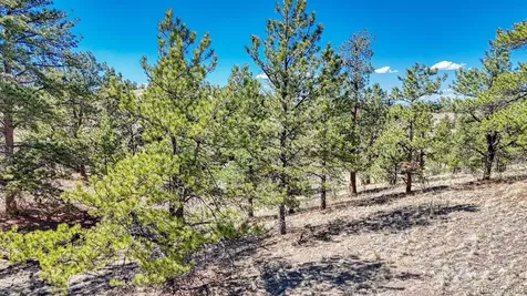 Lot 11 Highway 9 Hartsel CO 80449