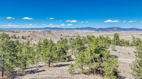 Lot 11 Highway 9 Hartsel CO 80449