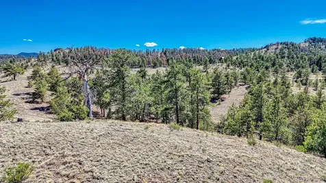 Lot 11 Highway 9 Hartsel CO 80449