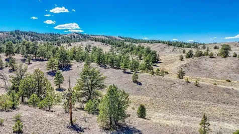 Lot 11 Highway 9 Hartsel CO 80449