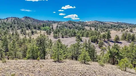 Lot 11 Highway 9 Hartsel CO 80449
