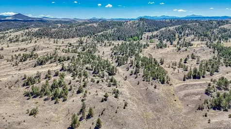 Lot 11 Highway 9 Hartsel CO 80449
