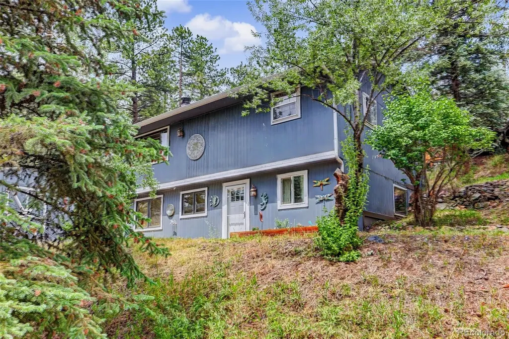 27535 Mountain Park Road Evergreen CO 80439
