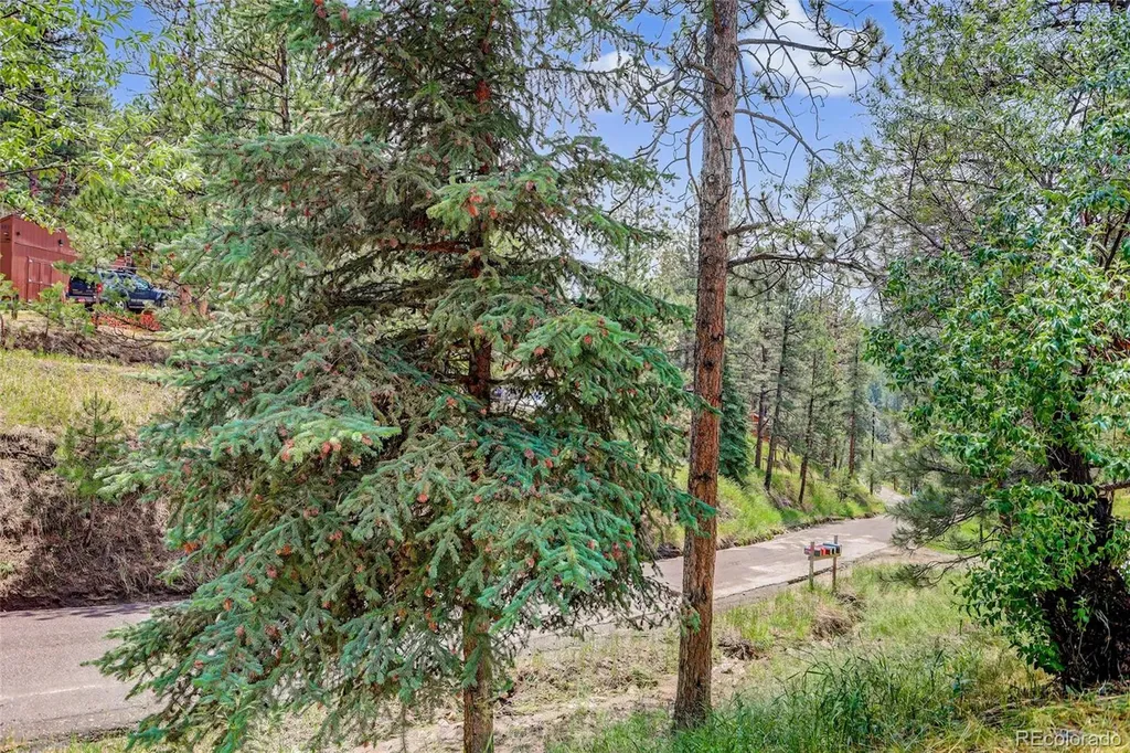27535 Mountain Park Road Evergreen CO 80439