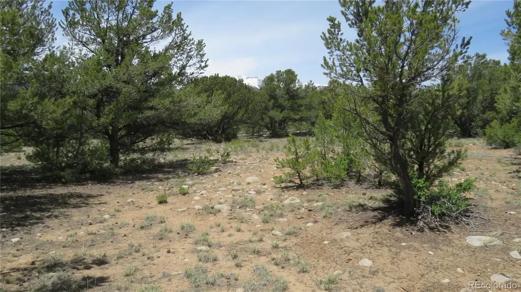 29258 Sage Lane Buena Vista CO 81211