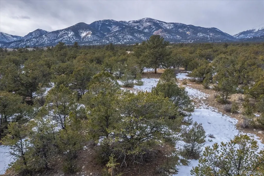 29258 Sage Lane Buena Vista CO 81211