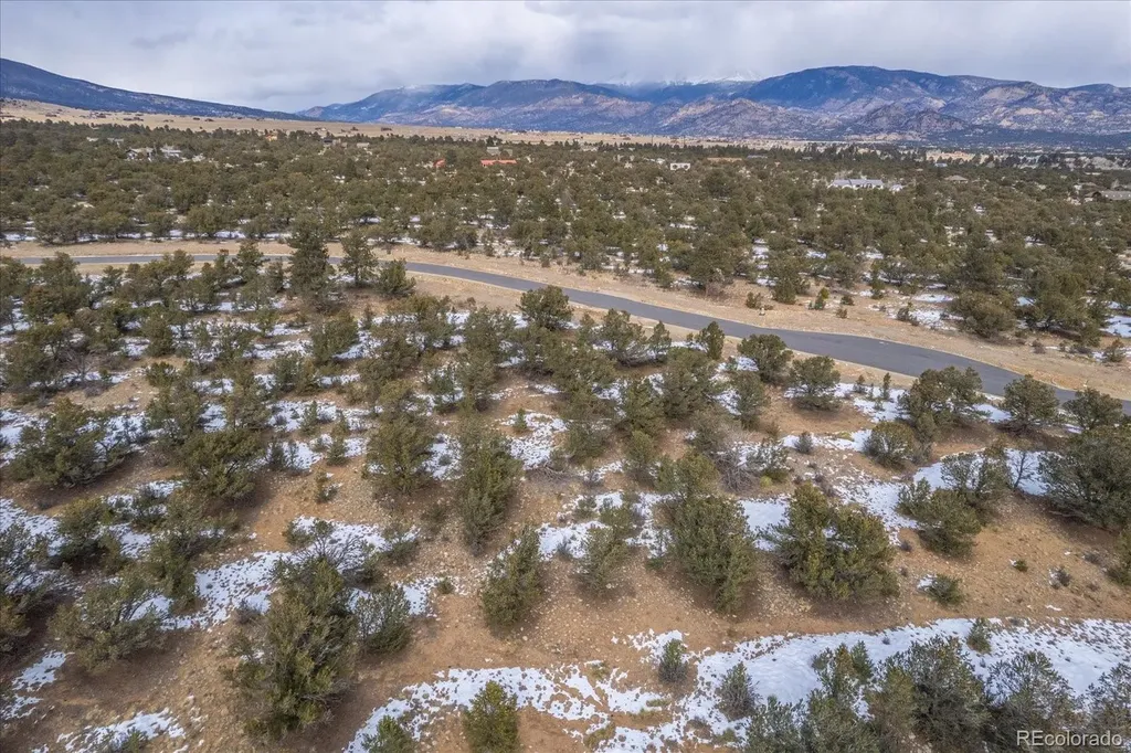 29258 Sage Lane Buena Vista CO 81211