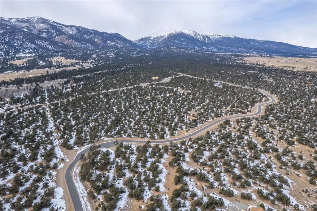 29258 Sage Lane Buena Vista CO 81211