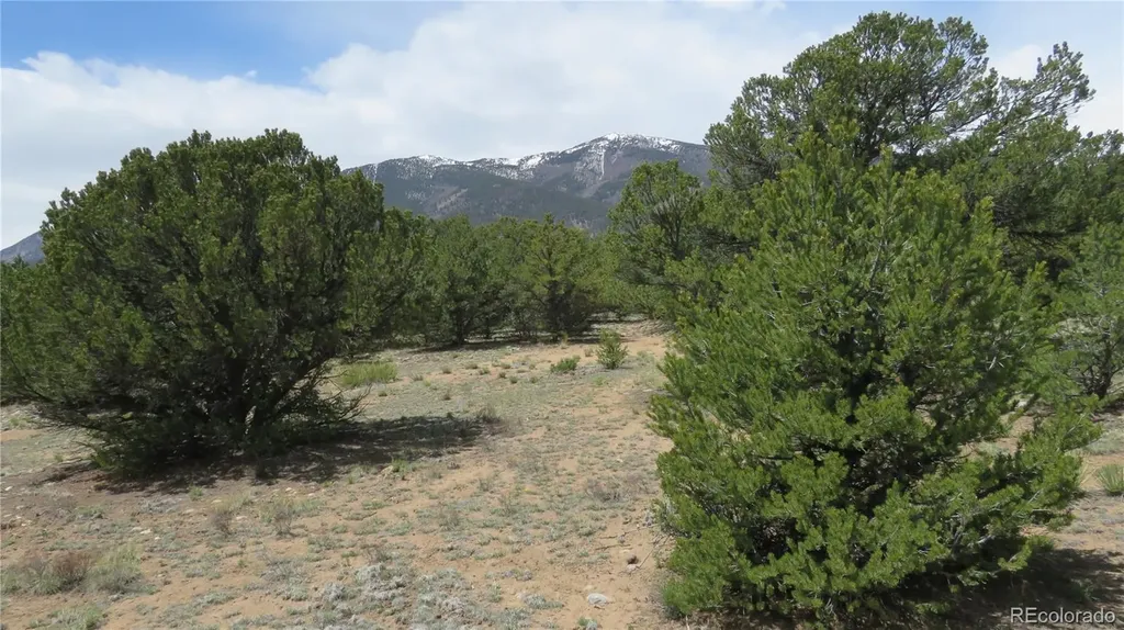 29258 Sage Lane Buena Vista CO 81211