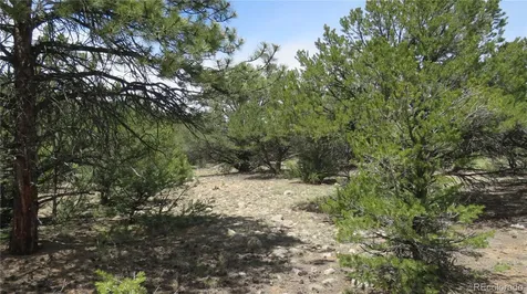 29258 Sage Lane Buena Vista CO 81211