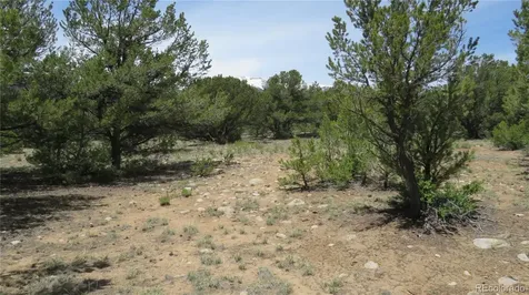 29258 Sage Lane Buena Vista CO 81211