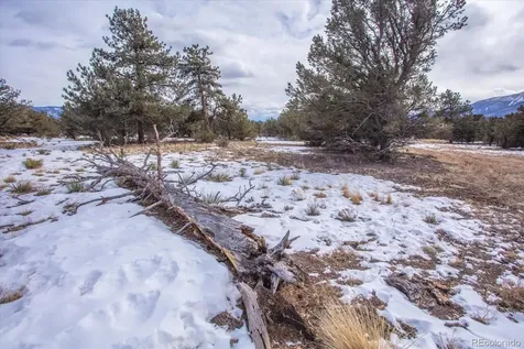 29258 Sage Lane Buena Vista CO 81211