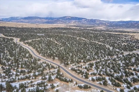 29258 Sage Lane Buena Vista CO 81211