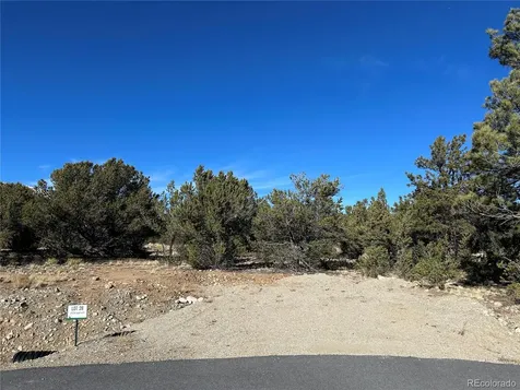 29258 Sage Lane Buena Vista CO 81211