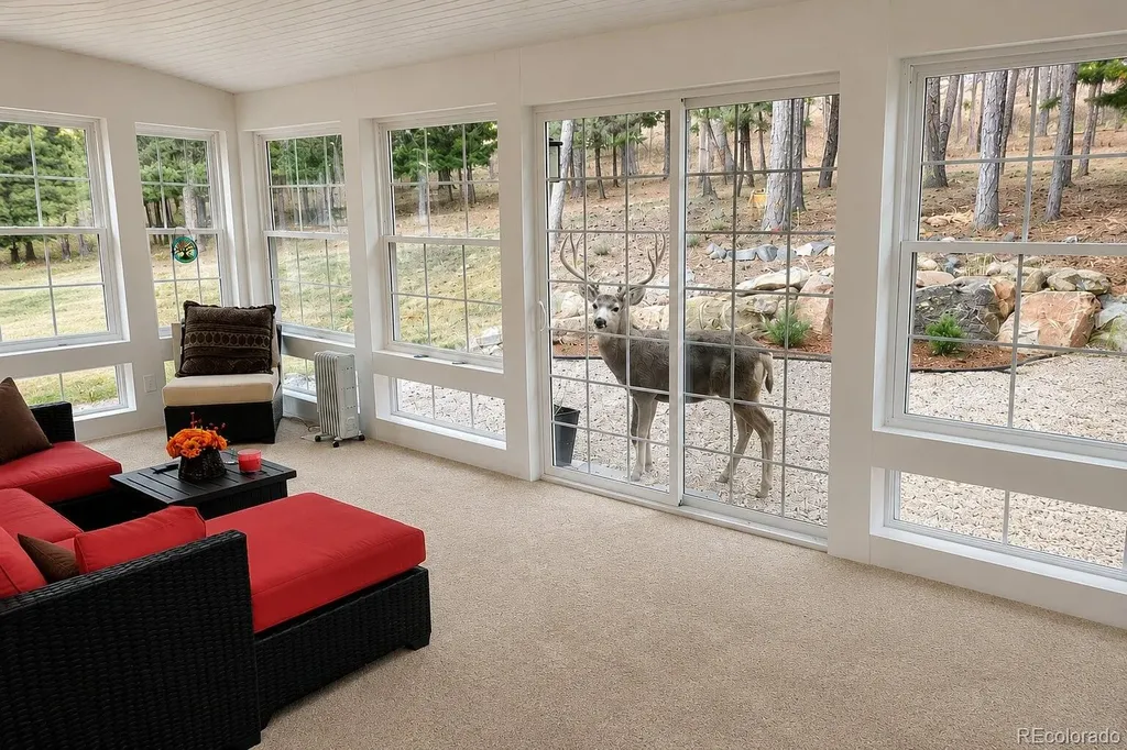 4854 Cheyenne Drive Larkspur CO 80118