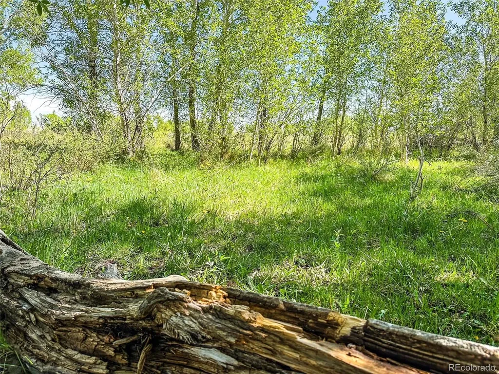 3870 County Road 125 Westcliffe CO 81252