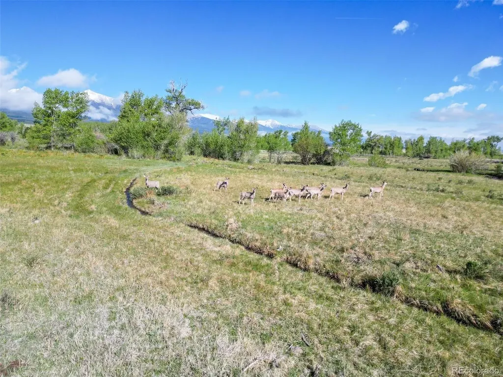 3870 County Road 125 Westcliffe CO 81252