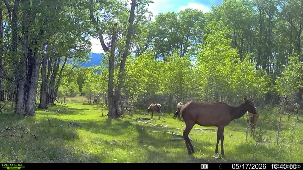 3870 County Road 125 Westcliffe CO 81252