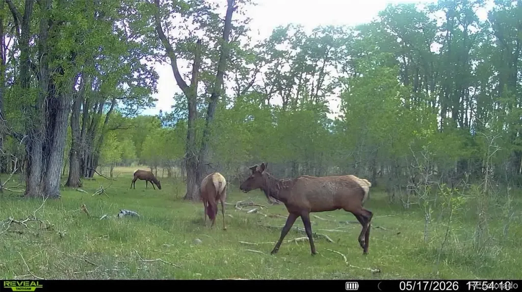 3870 County Road 125 Westcliffe CO 81252