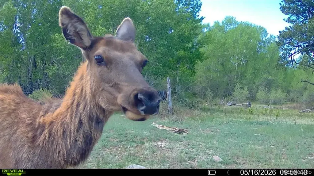 3870 County Road 125 Westcliffe CO 81252
