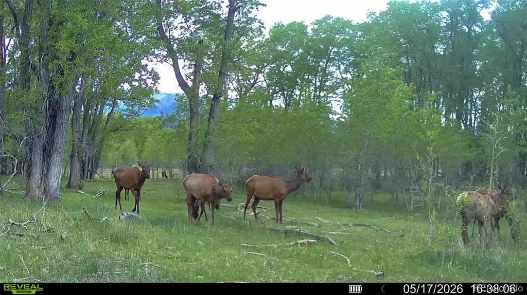 3870 County Road 125 Westcliffe CO 81252