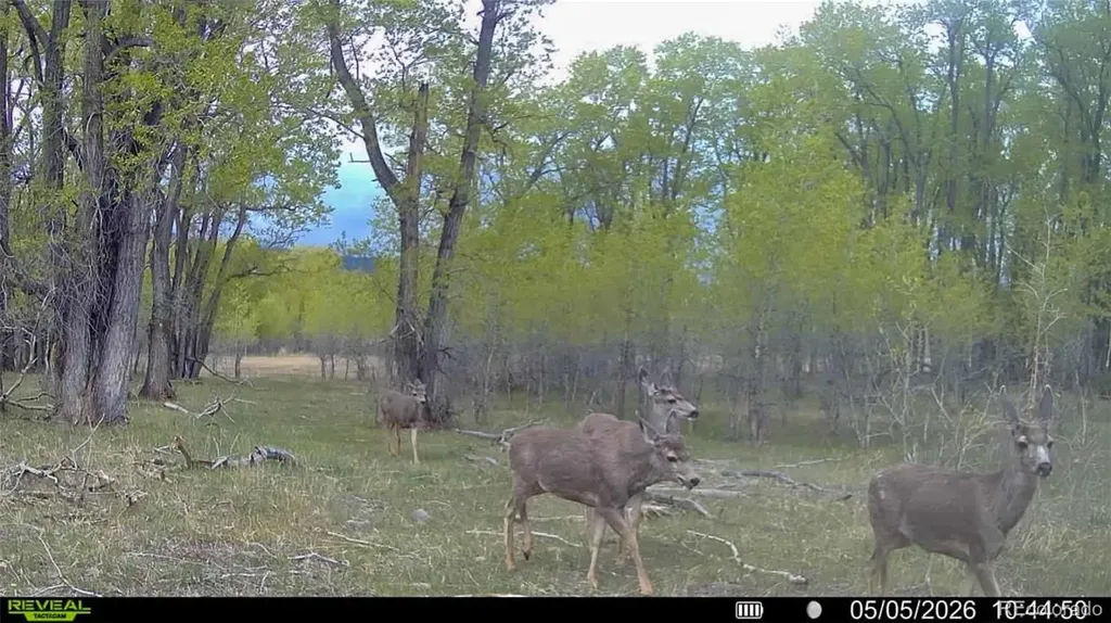 3870 County Road 125 Westcliffe CO 81252