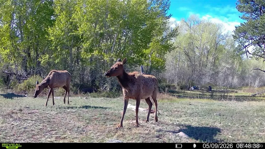 3870 County Road 125 Westcliffe CO 81252