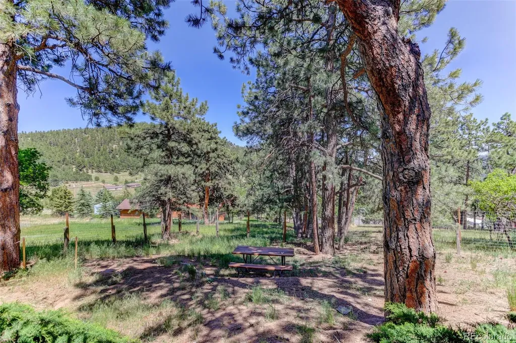 6417 High Drive Morrison CO 80465