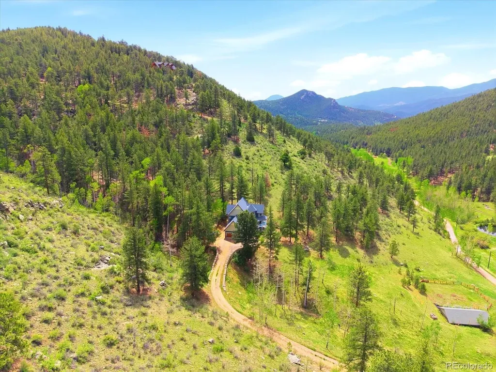 1458 Crow Creek Road Bailey CO 80421