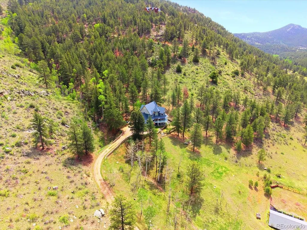 1458 Crow Creek Road Bailey CO 80421