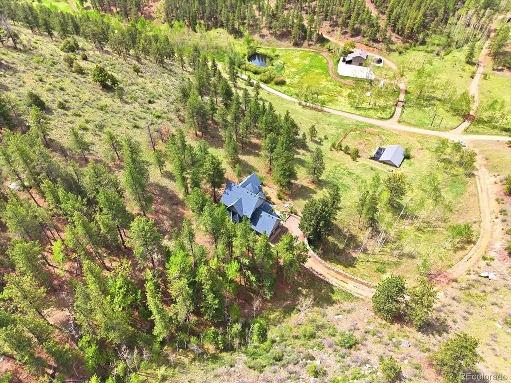 1458 Crow Creek Road Bailey CO 80421