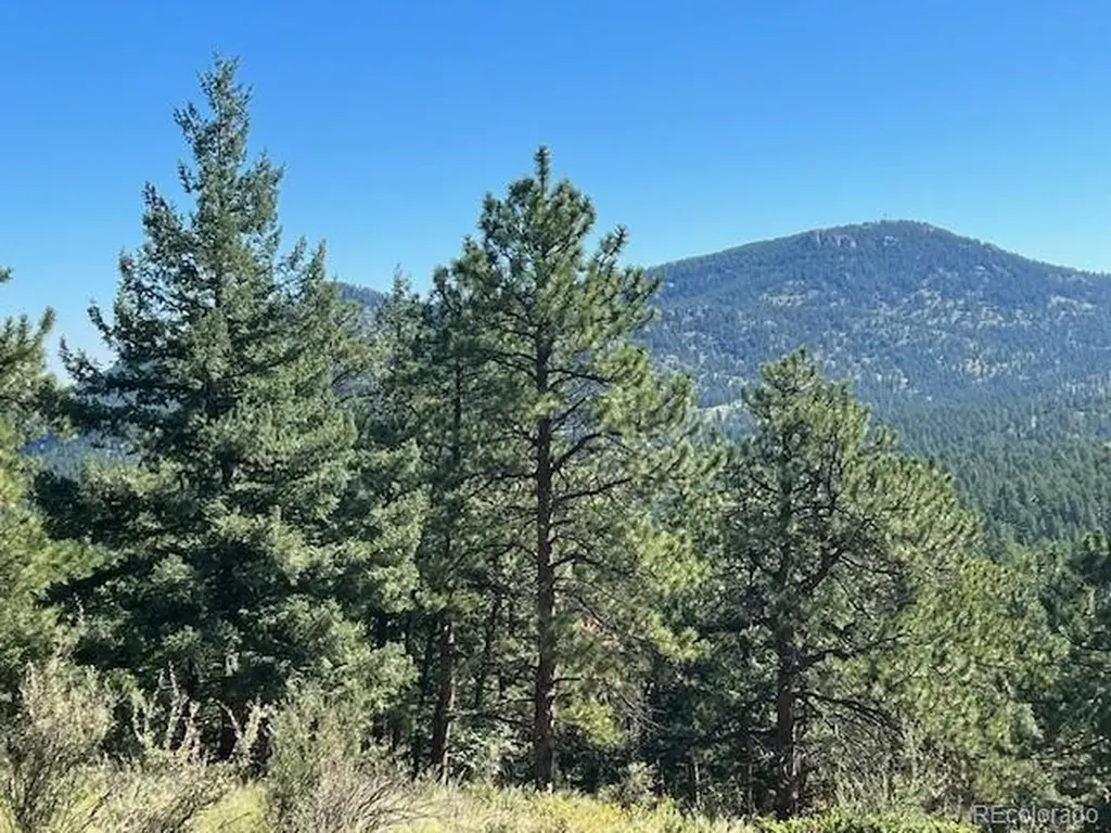 Tbd Barney Gulch Road Conifer CO 80433