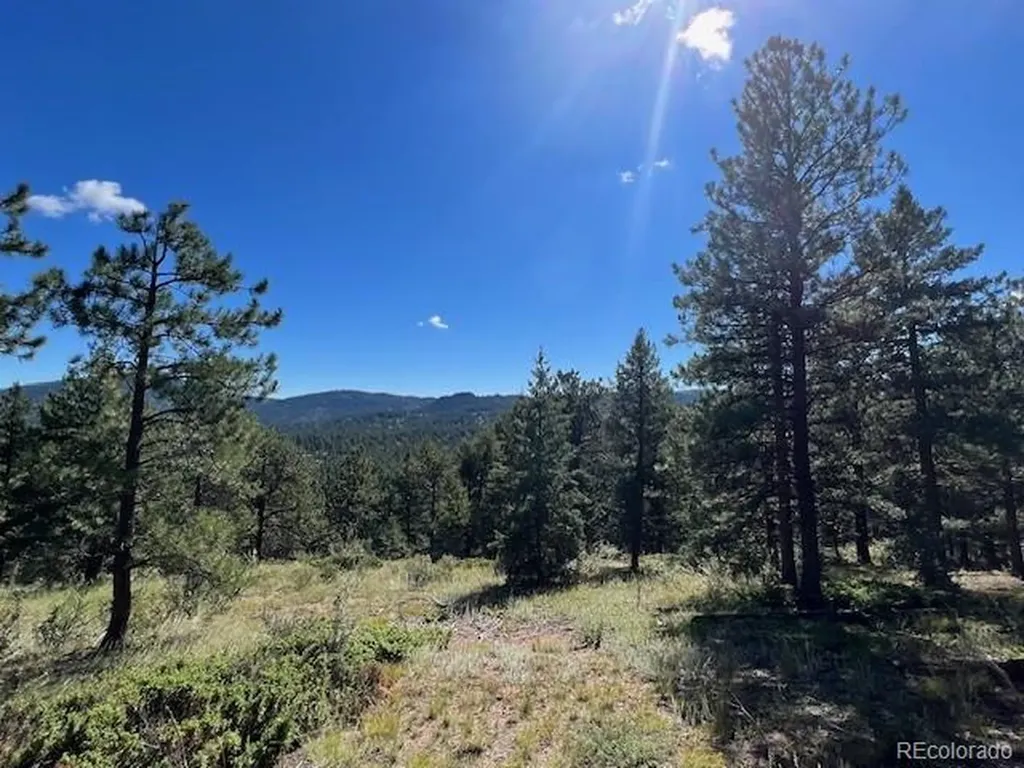Tbd Barney Gulch Road Conifer CO 80433