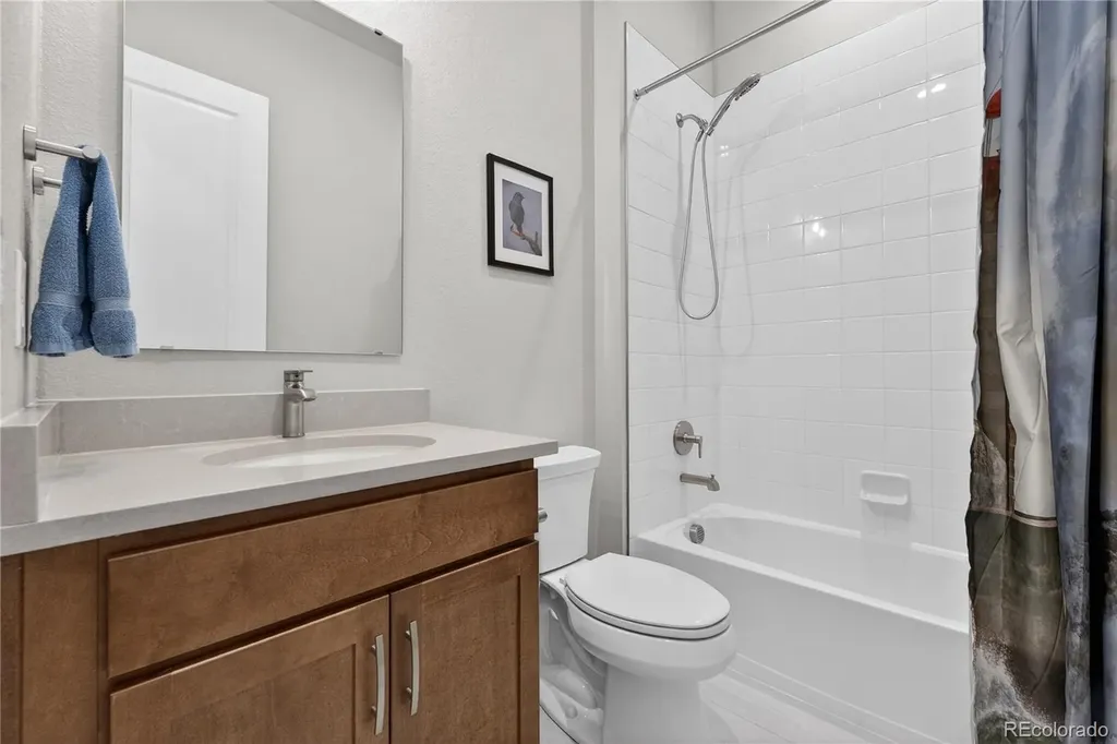 289 Leafy Aster Lane Castle Rock CO 80104