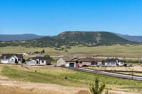 289 Leafy Aster Lane Castle Rock CO 80104