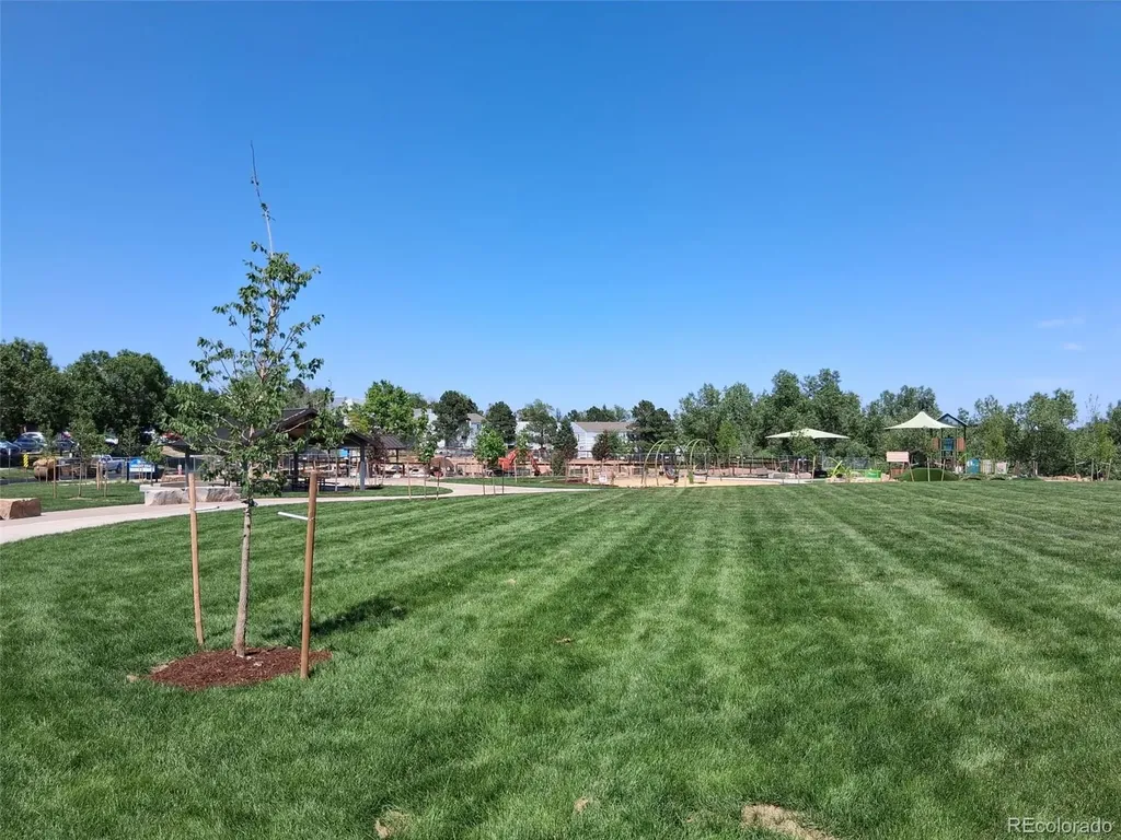 451 Wright Street Lakewood CO 80228