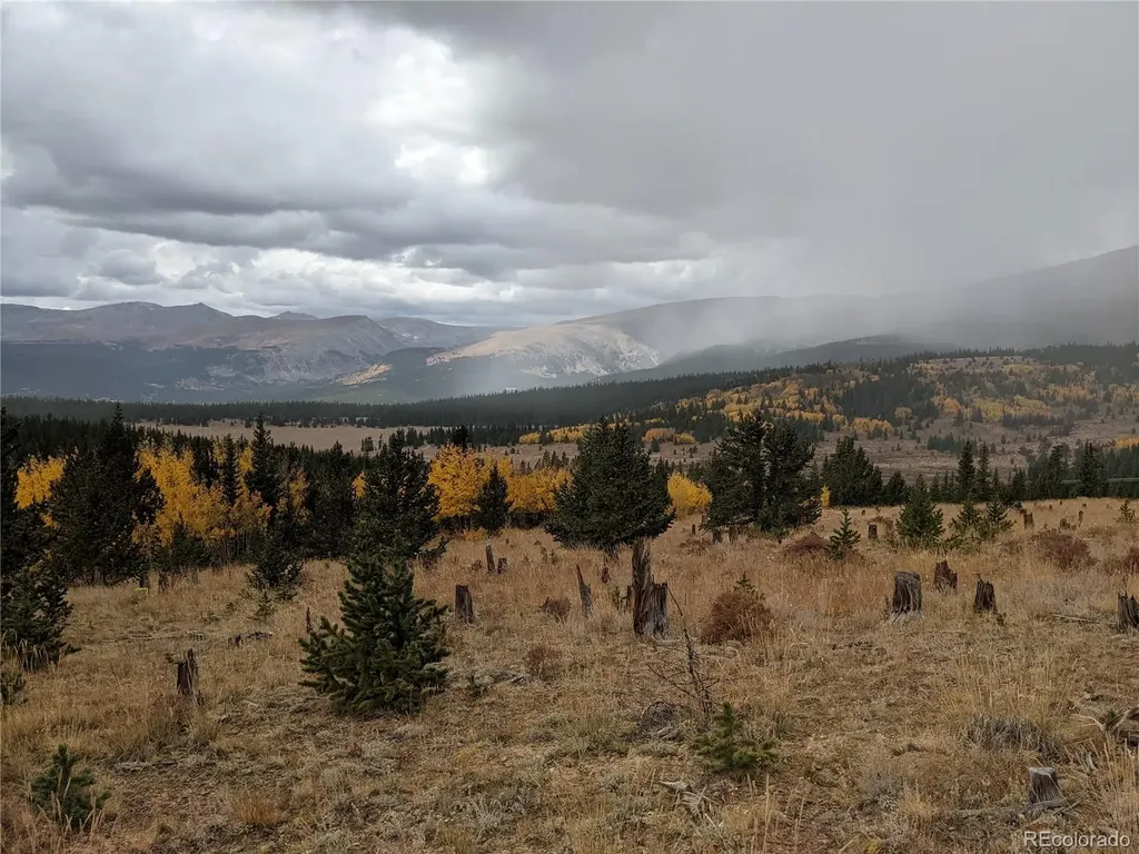0 Snow Cap Peaks Road Alma CO 80402
