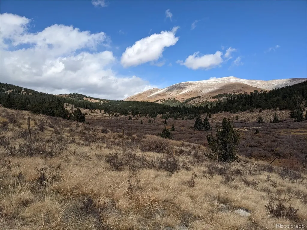 0 Snow Cap Peaks Road Alma CO 80402