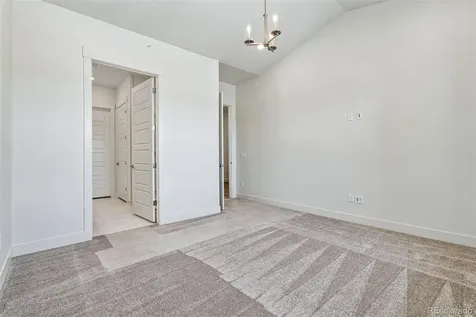 1613 Flourish Court Windsor CO 80550