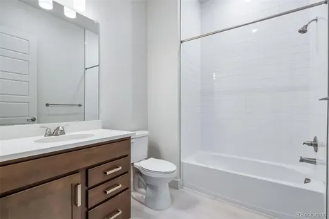 1613 Flourish Court Windsor CO 80550