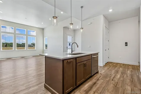 1613 Flourish Court Windsor CO 80550